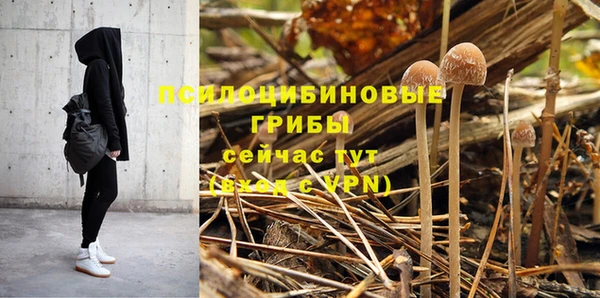 мяу мяу мука Баксан
