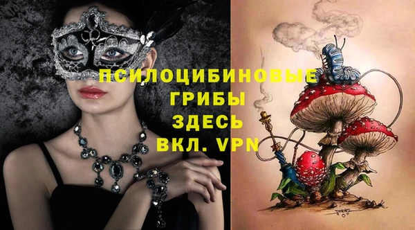 гидропоника Балабаново
