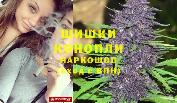 гидропоника Балабаново
