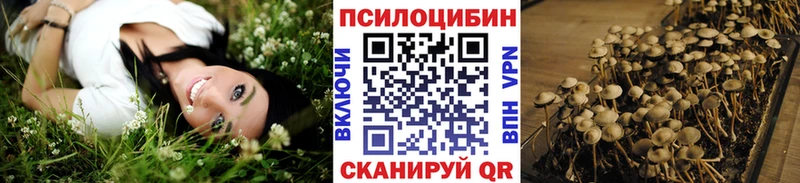 Купить где  Верхняя Пышма  Галлюциногенные грибы ЛСД 