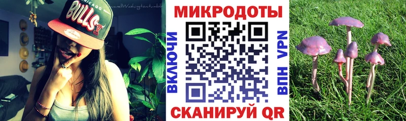 Псилоцибиновые грибы мицелий Верхняя Пышма